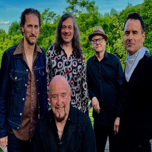 The Fabulous Thunderbirds in Dallas