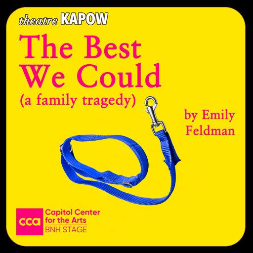 Theatre KAPOW: The Best We Could Dallas Tickets