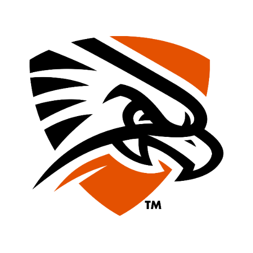 UT-Permian Basin Falcons